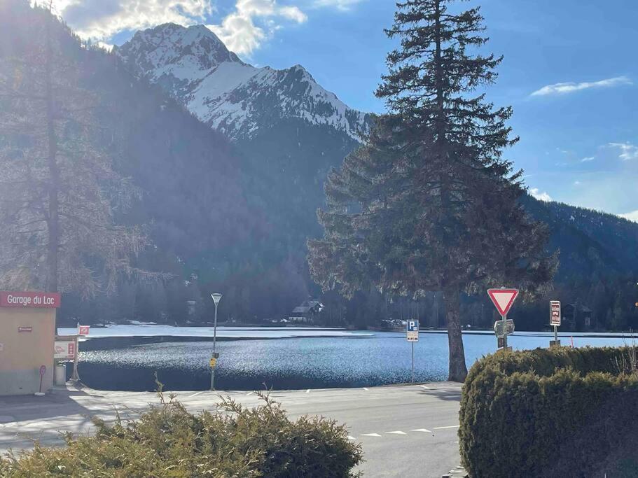 Charmant 2,5 Pieces Avec Jardin A 2 Pas Du Lac Champex-Lac Екстер'єр фото