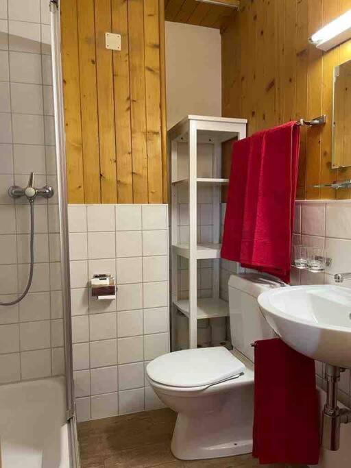 Charmant 2,5 Pieces Avec Jardin A 2 Pas Du Lac Champex-Lac Екстер'єр фото
